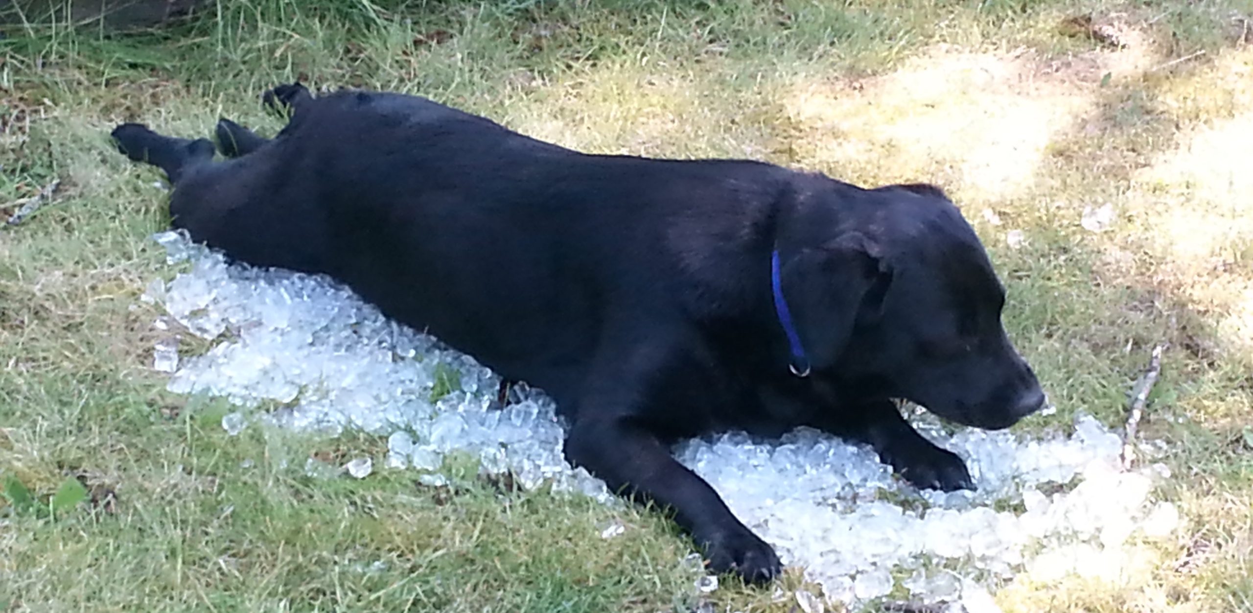 Gabby cooling off 2 Gabby cooling off